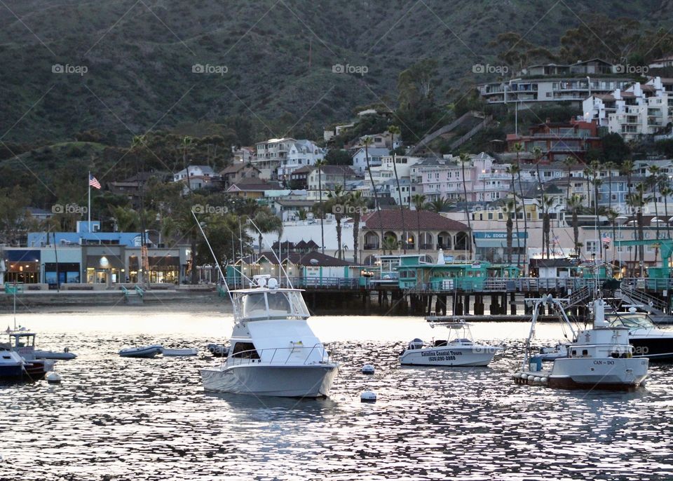 Catalina Island 