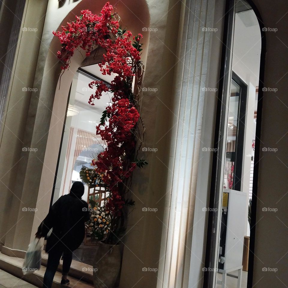 Wonderful plant with beautiful flowers in the fall! entrance of a famous restaurant