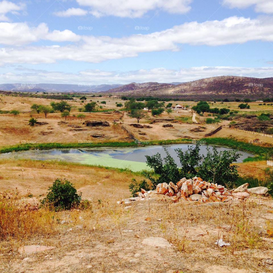 Seridó vegetation, a hot and dry climate. It is possible to see a small lake around the vegetation and mountains in a sunny day