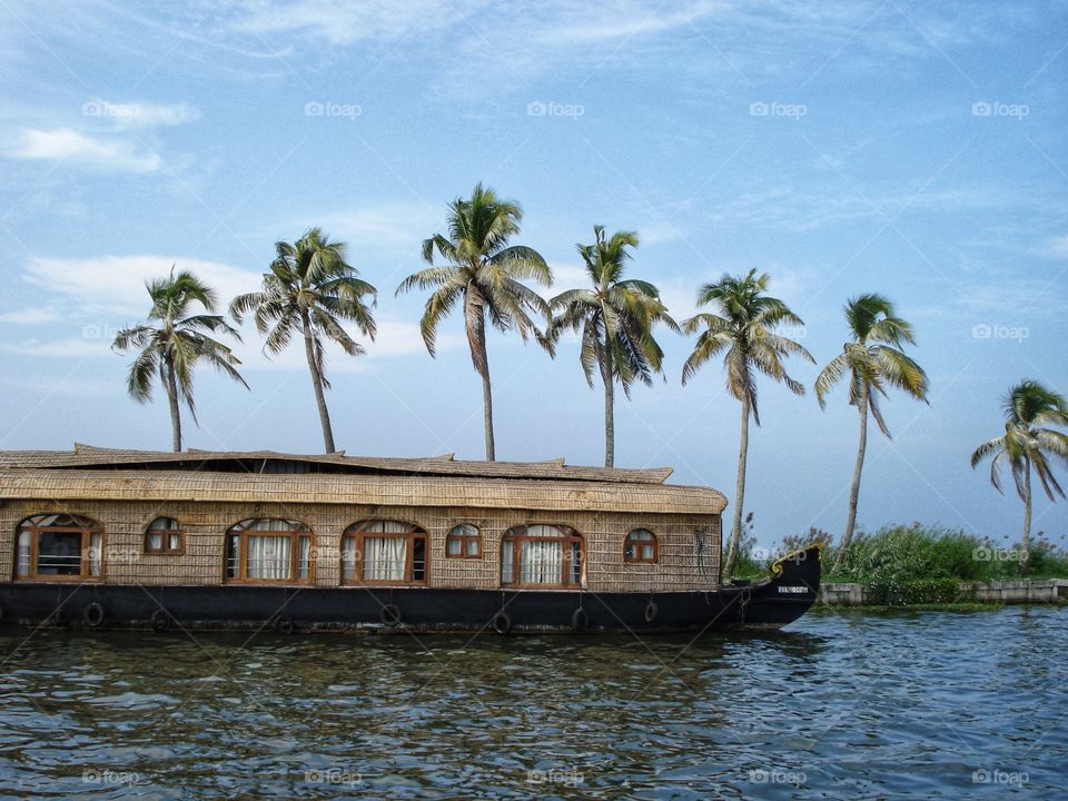Palm trees and houseboat in the backwaters of Kerala 
