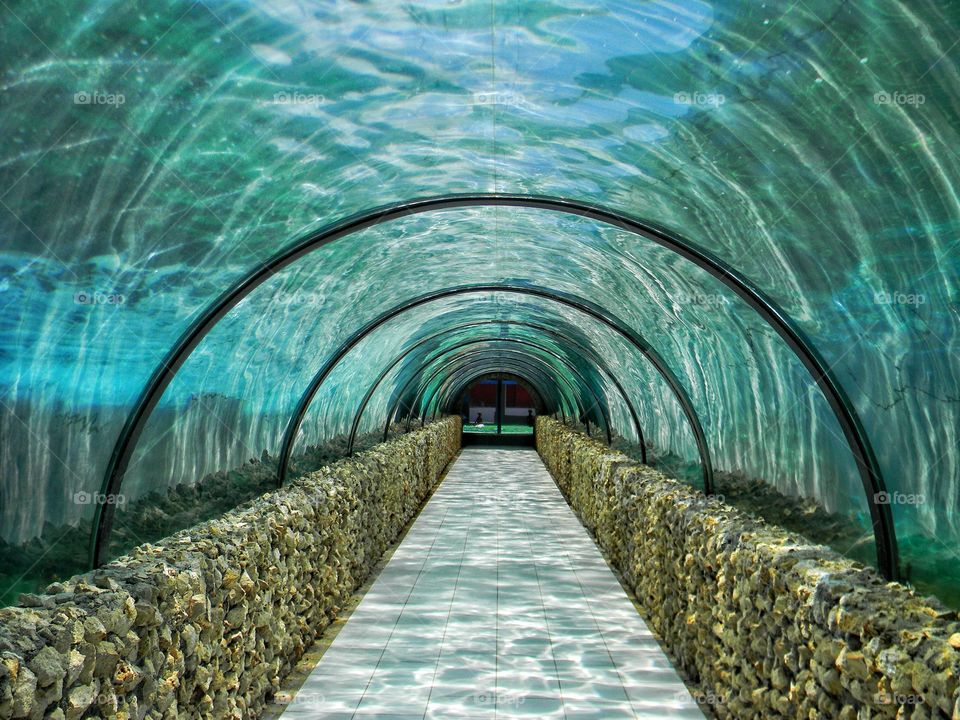 Viewpoint from an underwater tunnel