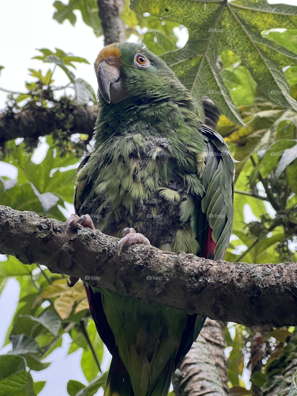 La libertad no tiene precio 