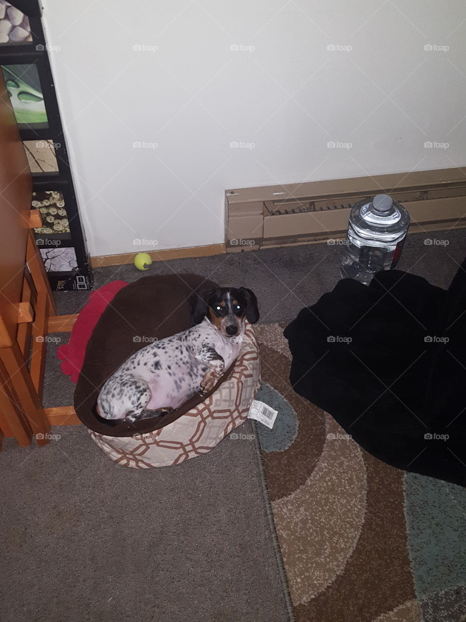 I've eaten and I'm done now.