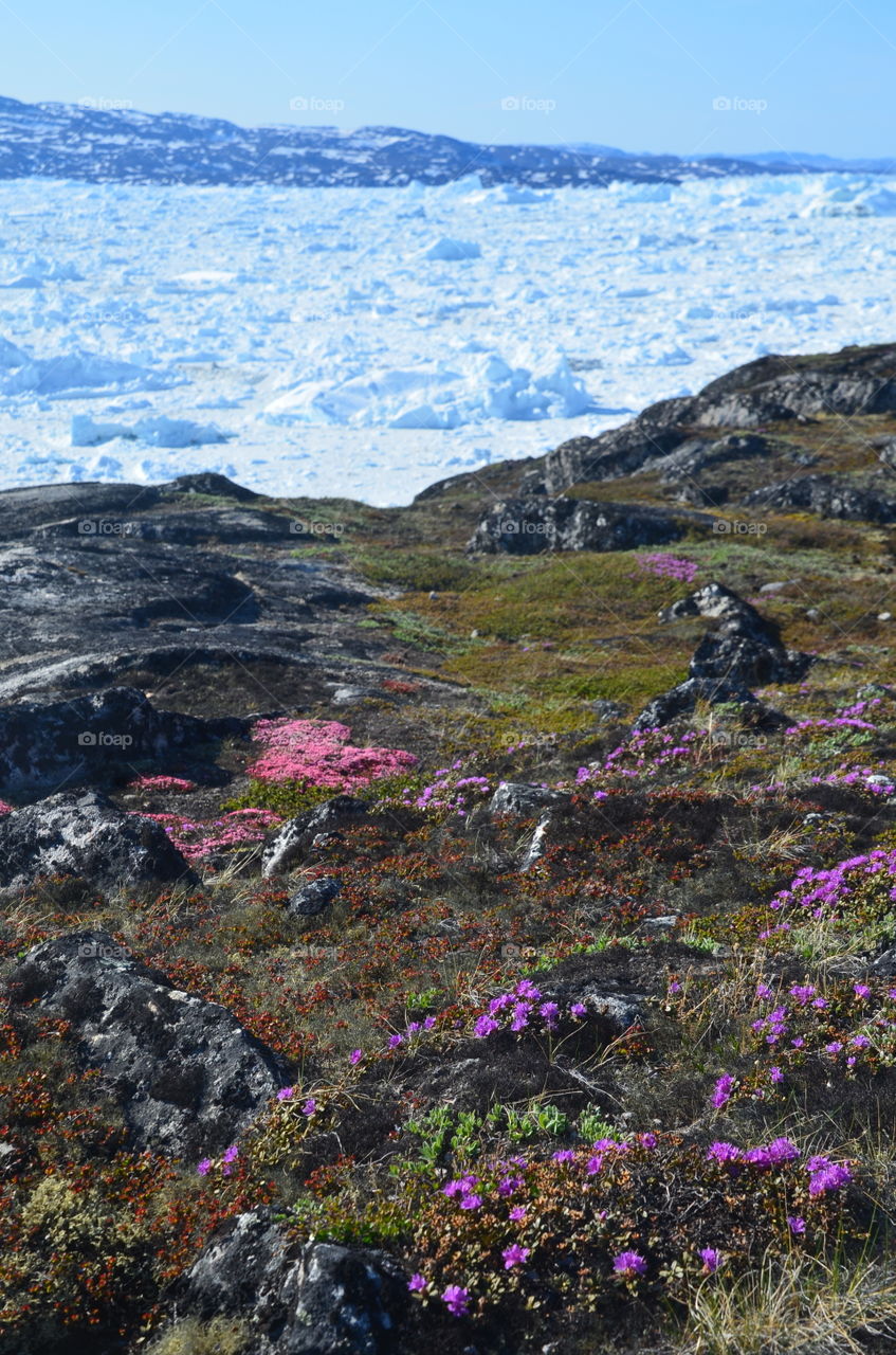 Ilulissat, Greenland