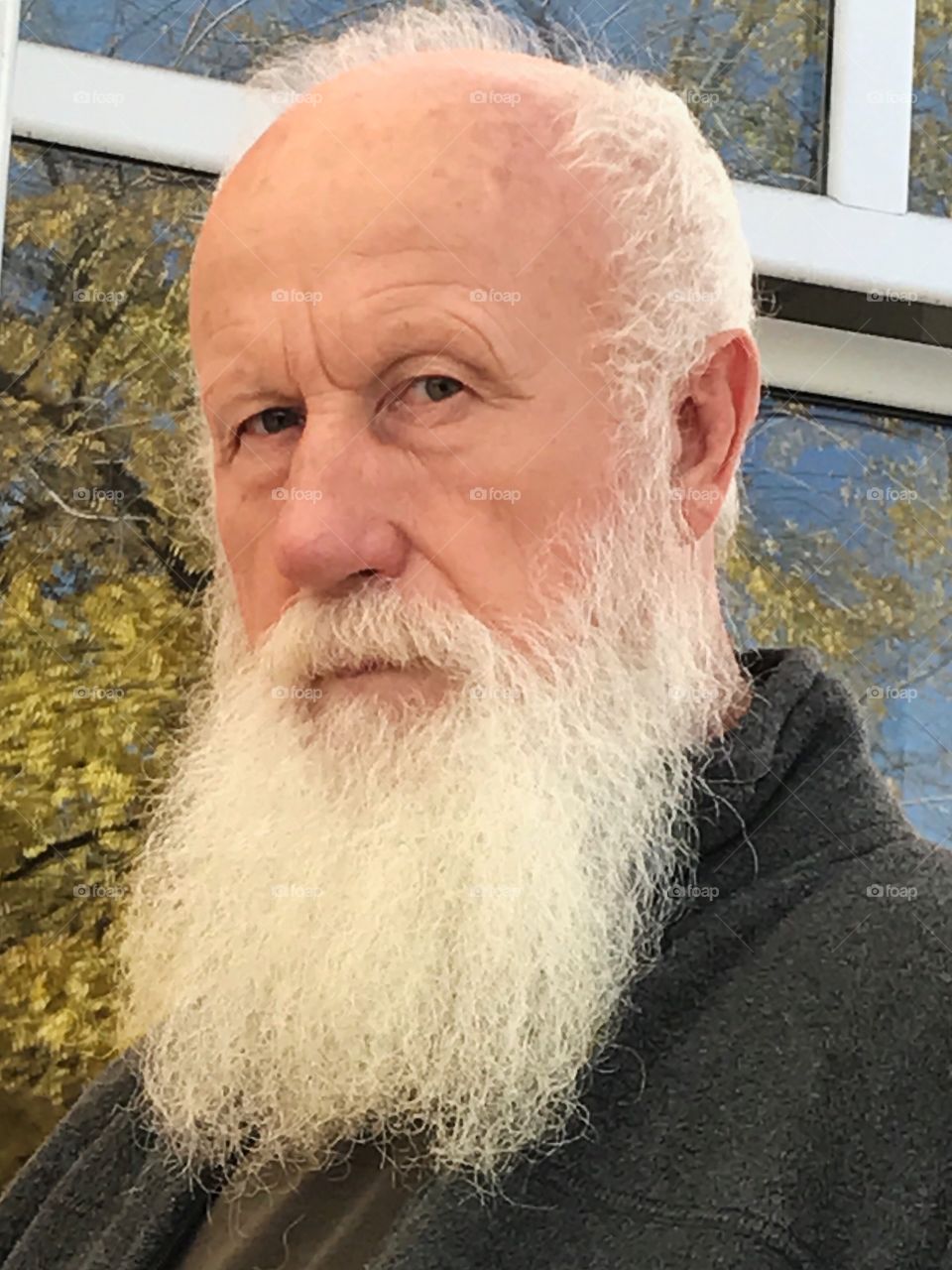 Beard, Portrait, People, Man, Mustache