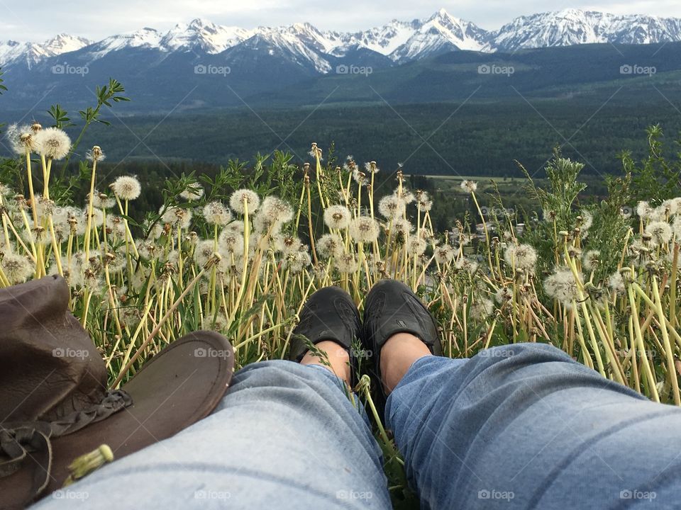 From where I stand view if rocky mountains from alpine meadow