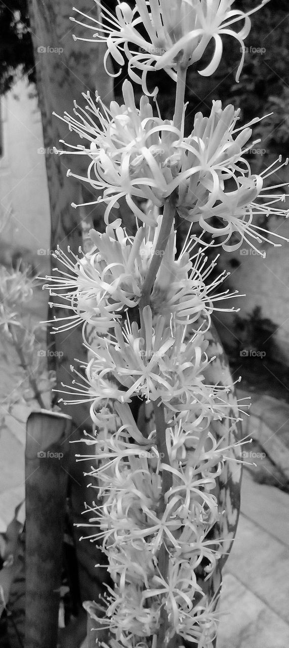 Spring is coming to make your day magical