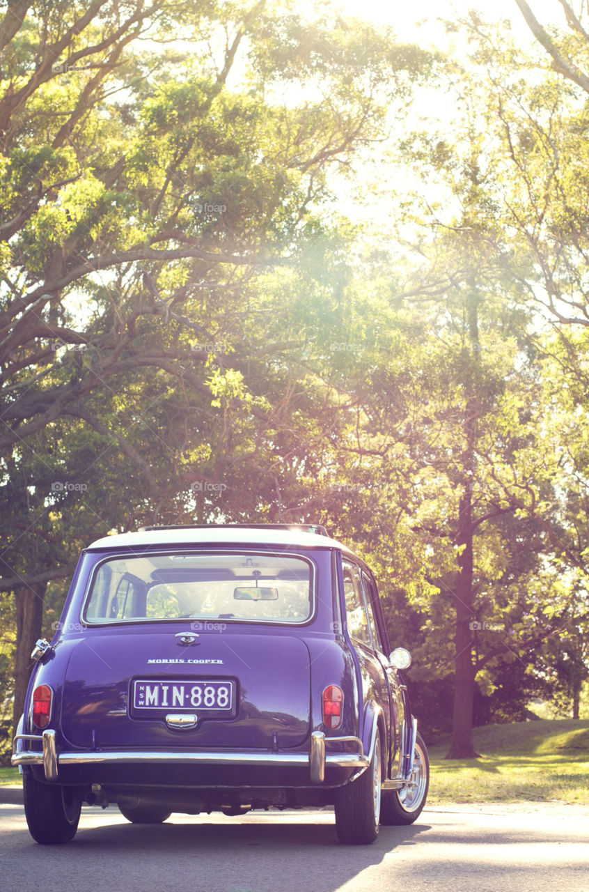 purple mini sydney classic by dannyglue