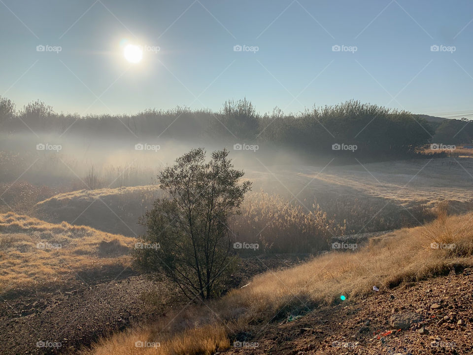 Early morning run revealed this beautiful winter’s scene 