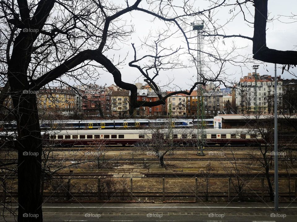 Deli Railway Station in Budapest
