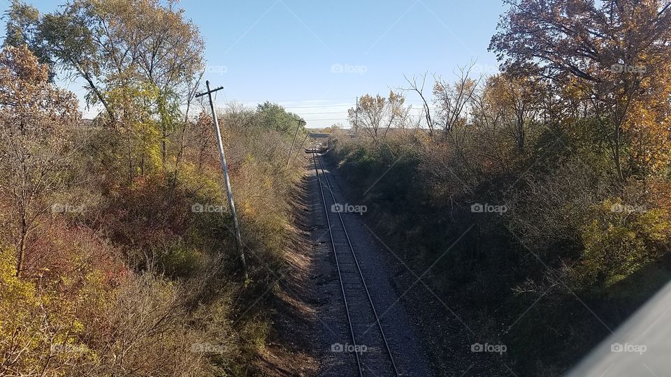 Fall Tracks