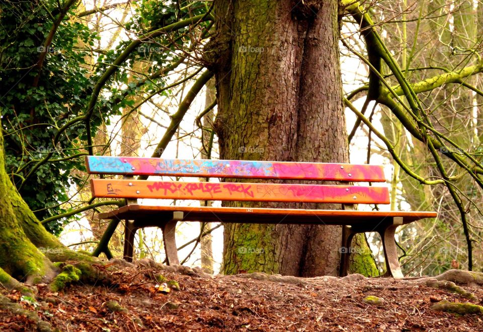 colorful bench