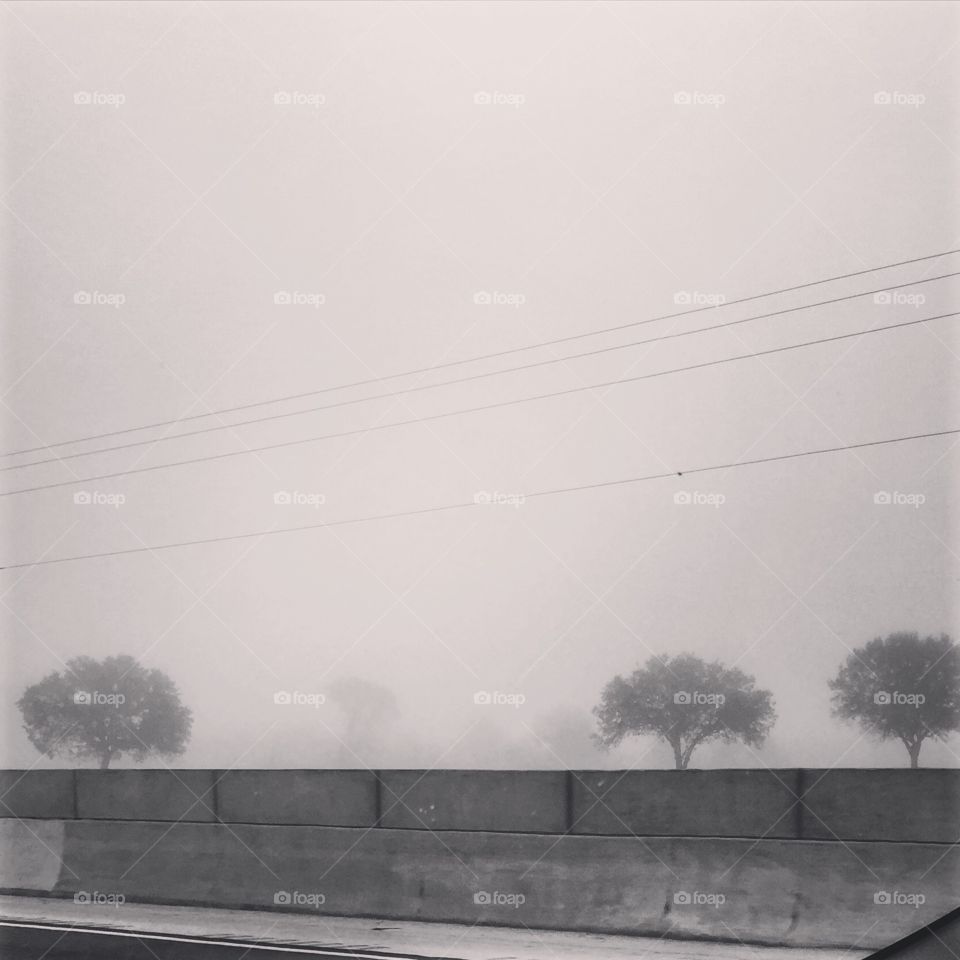 Fog, Light, Transportation System, Monochrome, Mist