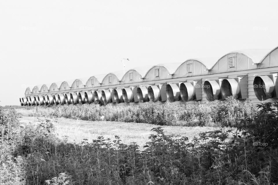 This photo captures an interesting side view of a  tomato greenhouse where organic tomatoes use to be produced.