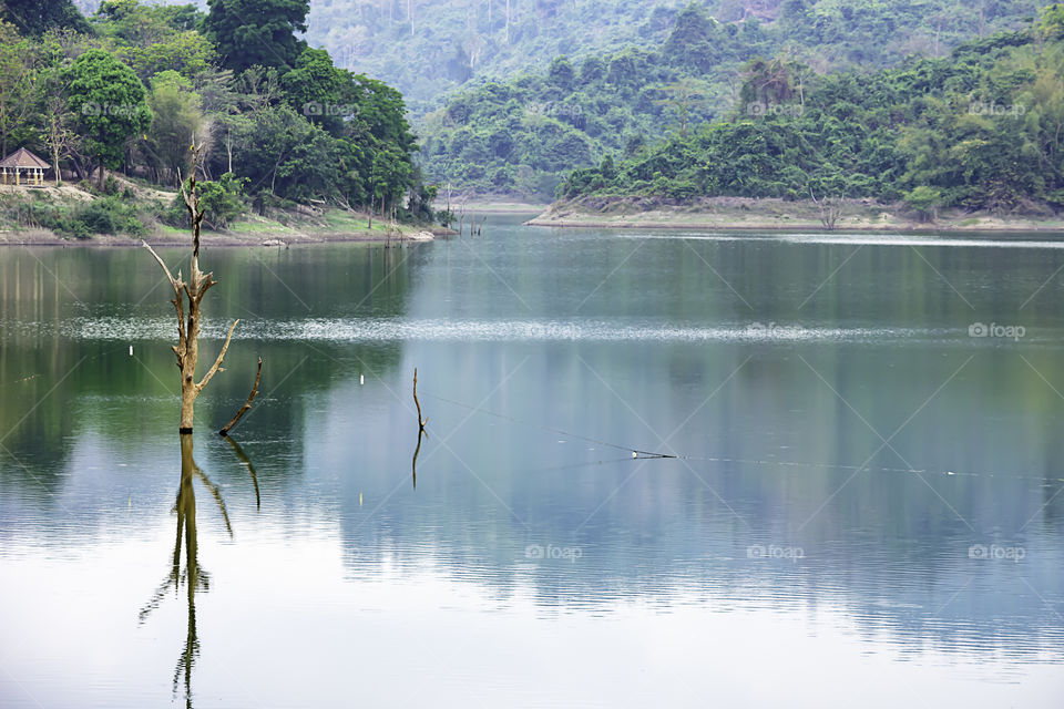 The trees die in water and mountain at Wang Bon dam Nakhon nayok , Thailand.