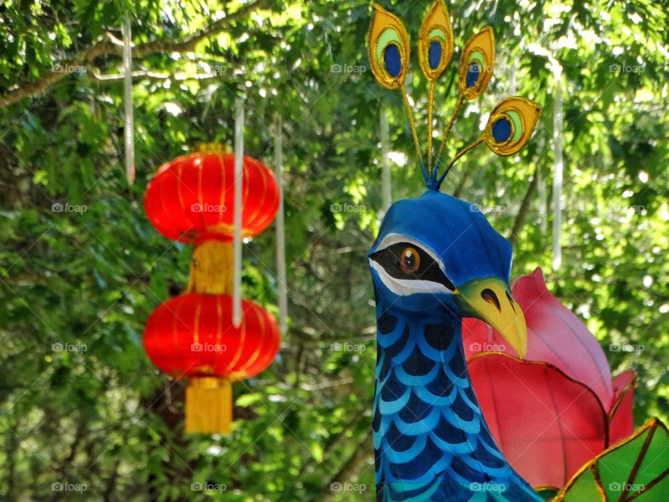 Chinese Peacock Art
