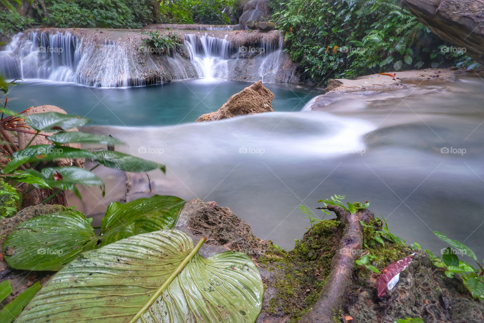 waterfall in the forest