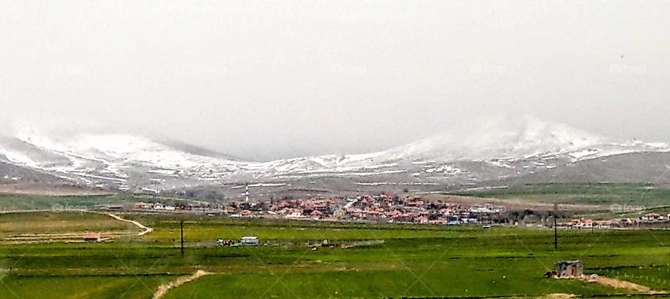 White snow covered mountains in the distance, in front of plain farm, villige(or city), the colourful natural landscape was beautiful.