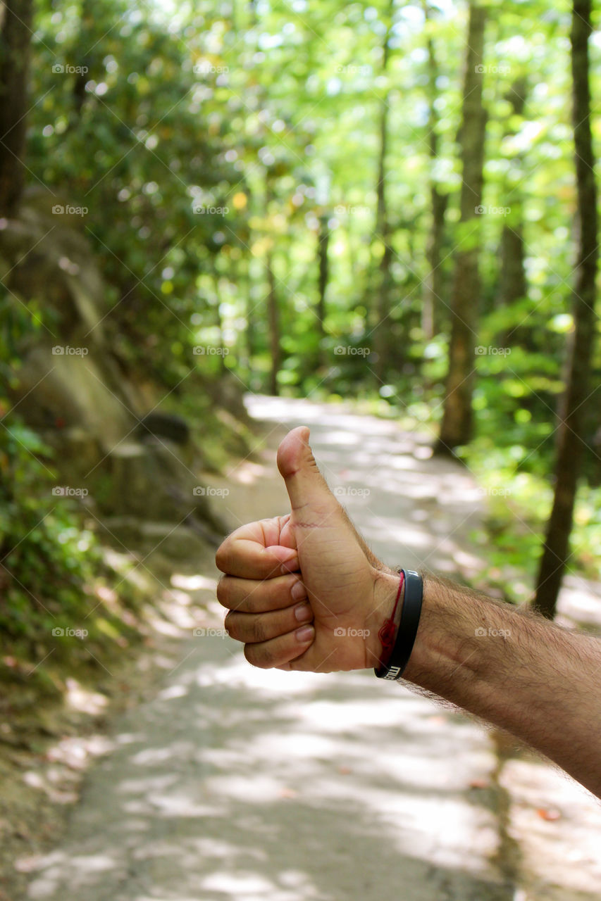 thumbs up for walks in the forest