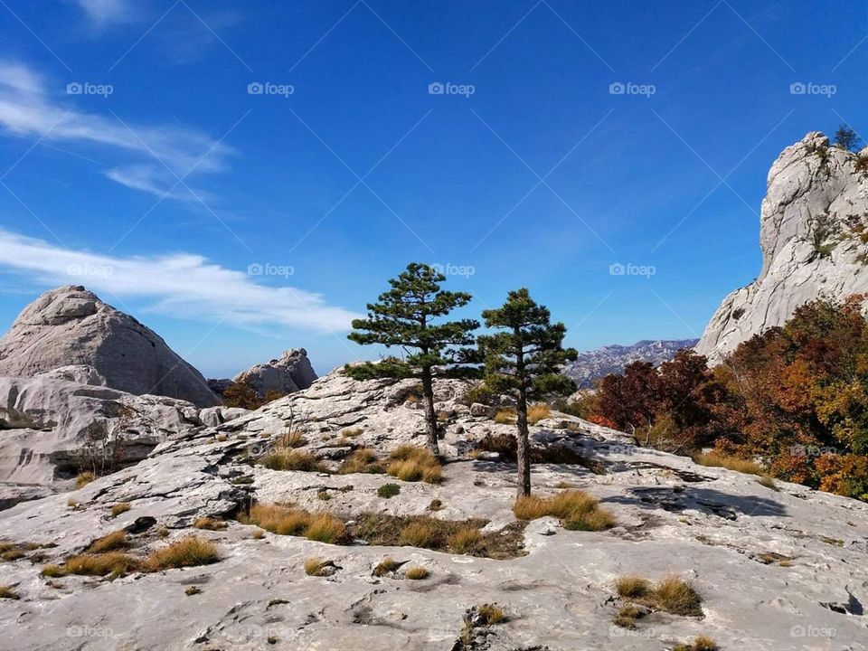 Velebit
