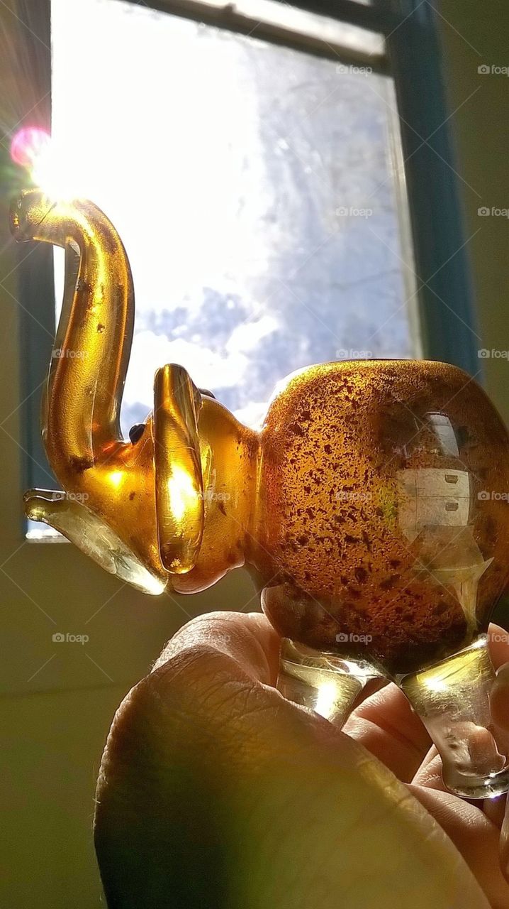 Sun shining through a silver fumed Henry glass piece he’s my favorite light shining at the trunk is perfect 