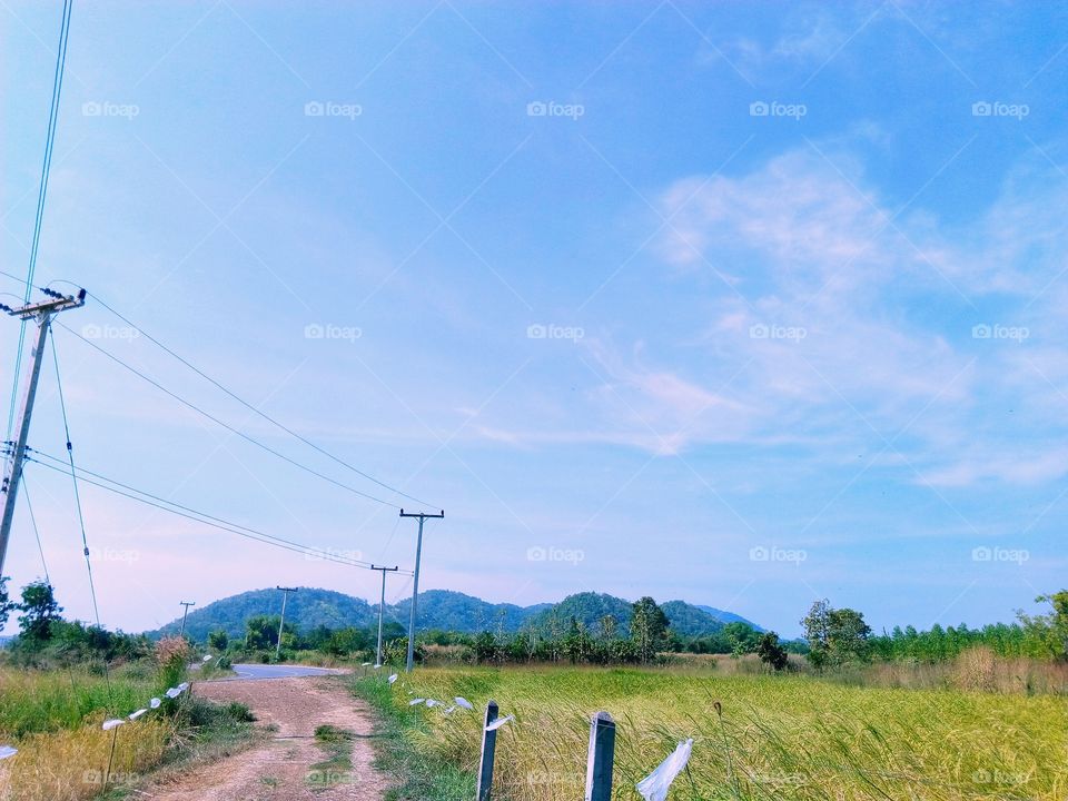 mountains,sky,road,farmland,rice field