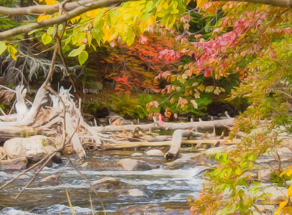 Fast-moving stream in southern New Hampshire. Photograph was edited with an iPhone filter to make it look like a painting.