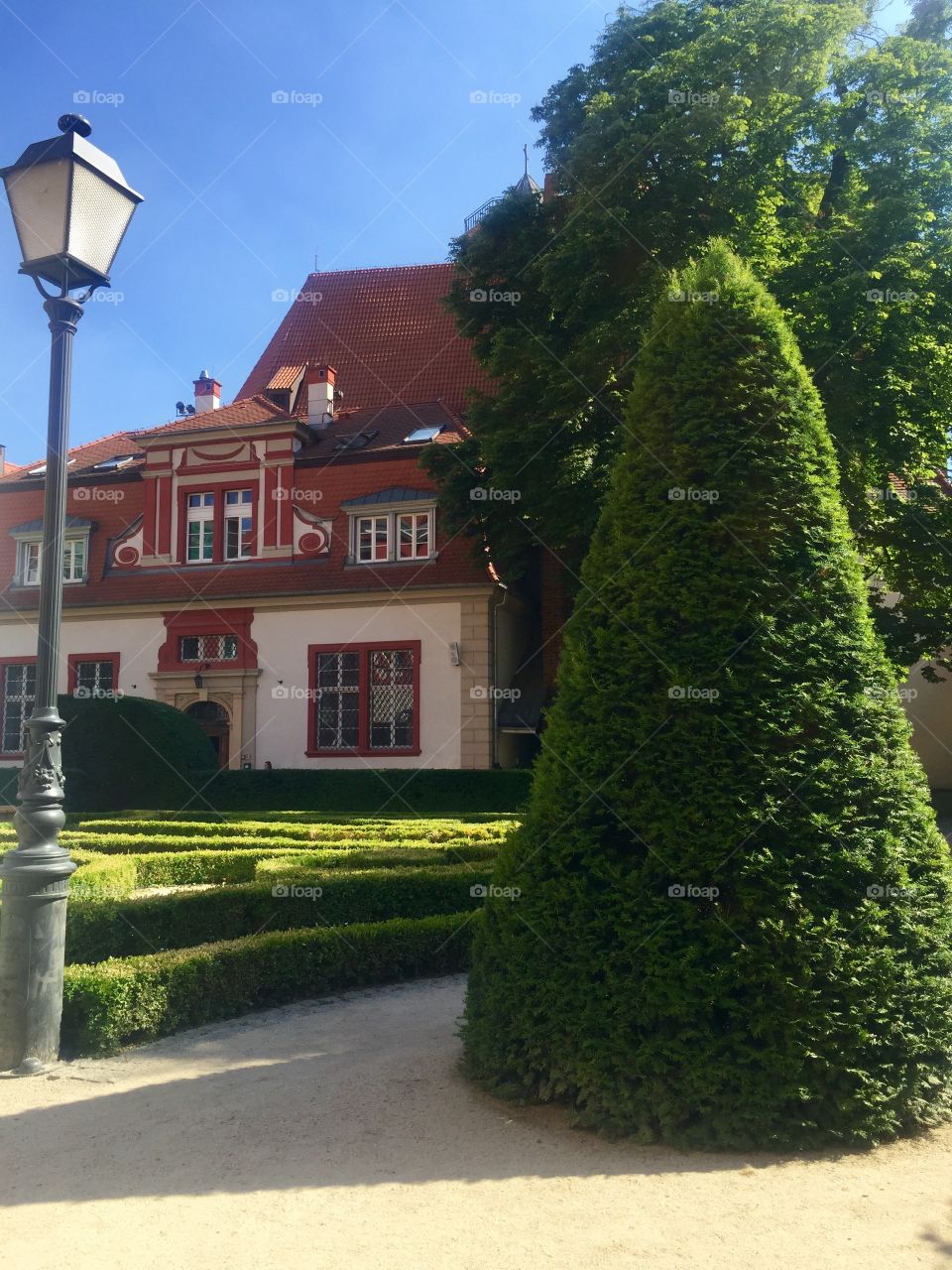 Courtyard with lantern, bushes and cedar