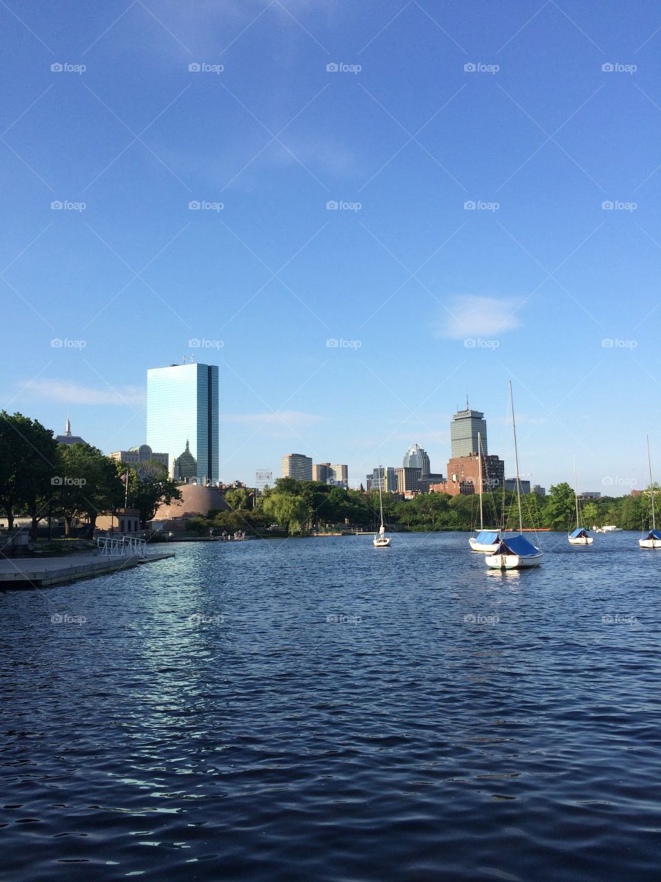 A morning on the Charles River
