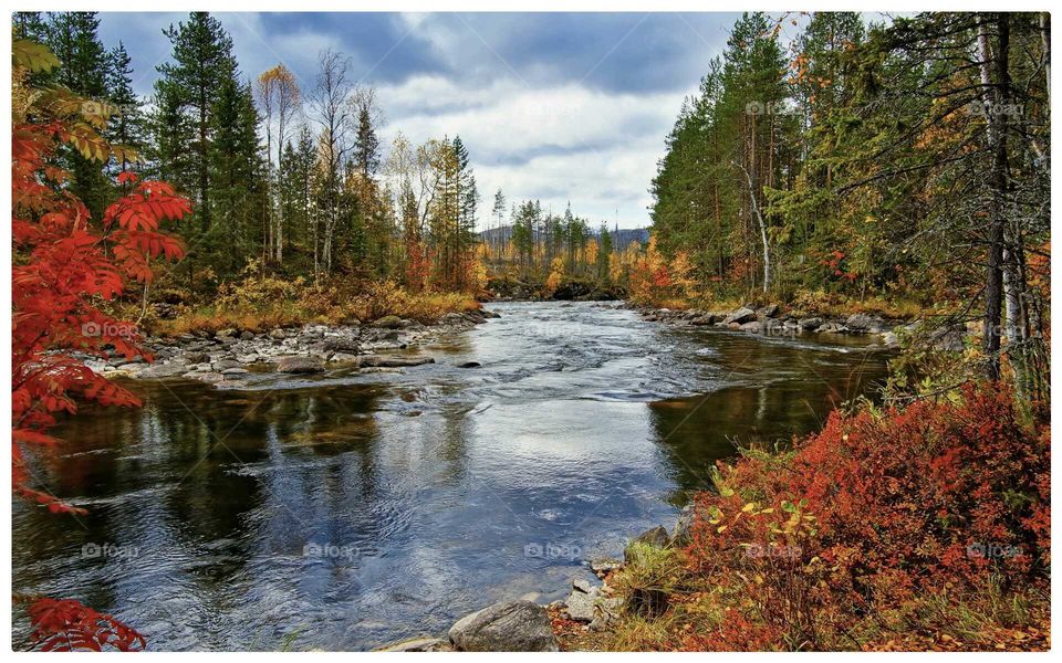 природа осень река