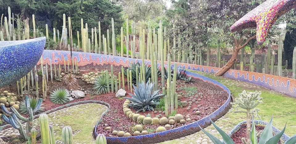 Mexican style garden