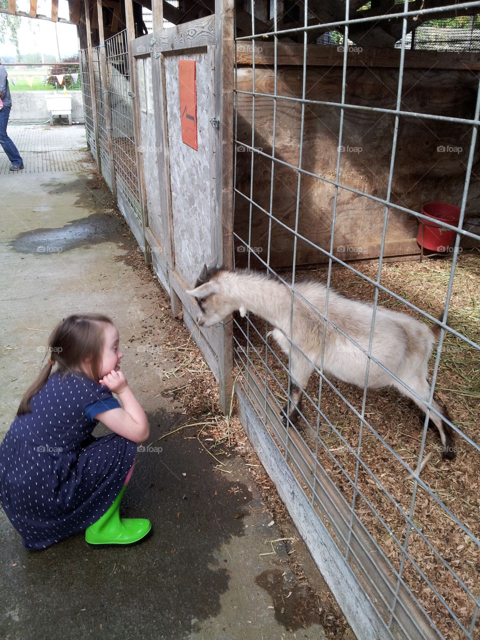 Sarah making a new friend. My daughter at a petting farm