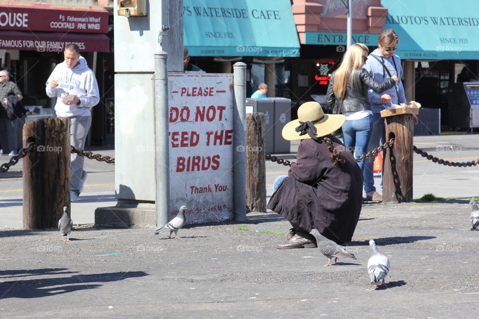 Don't feed the birds 