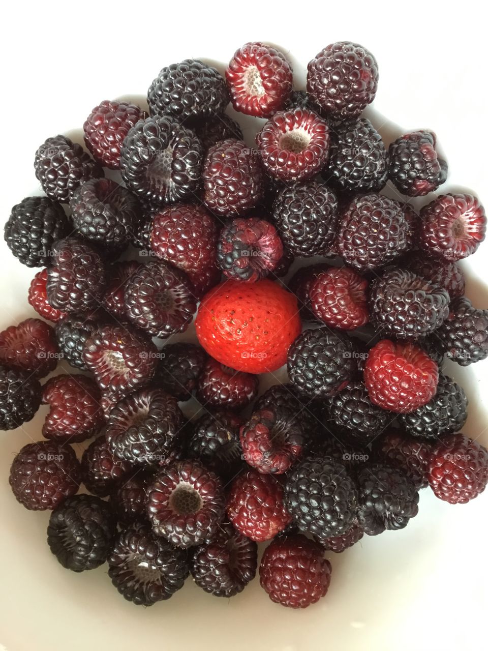 Strawberry and raspberry harvest