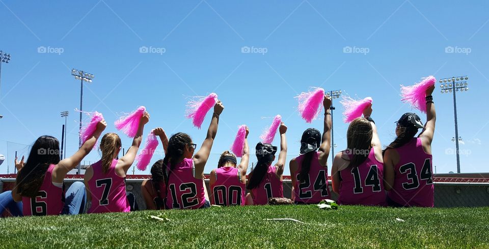 Pink softball fans