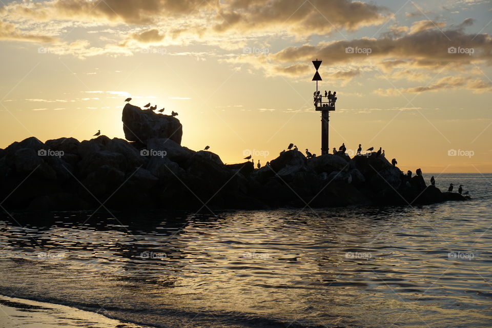 Sunset silhouette. Sunset silhouette over the Glenelg breakwater with birds silhouetted against the setting sun and rocks