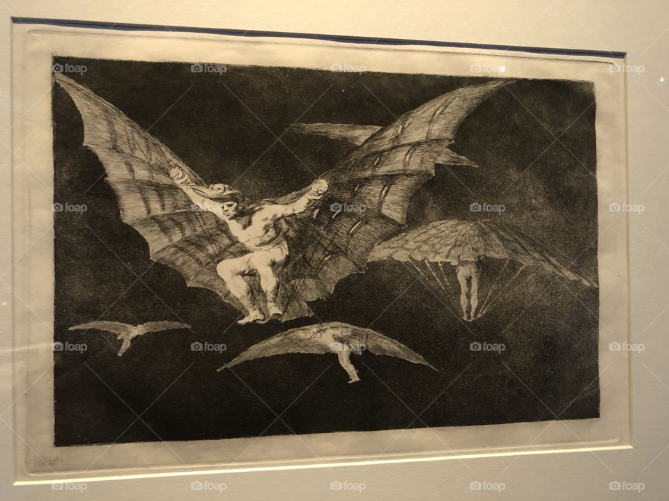 Goya flight