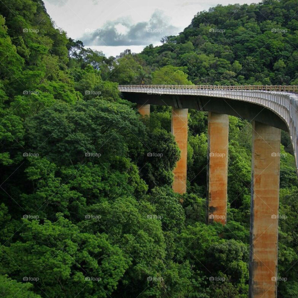 Brazilian paradise world