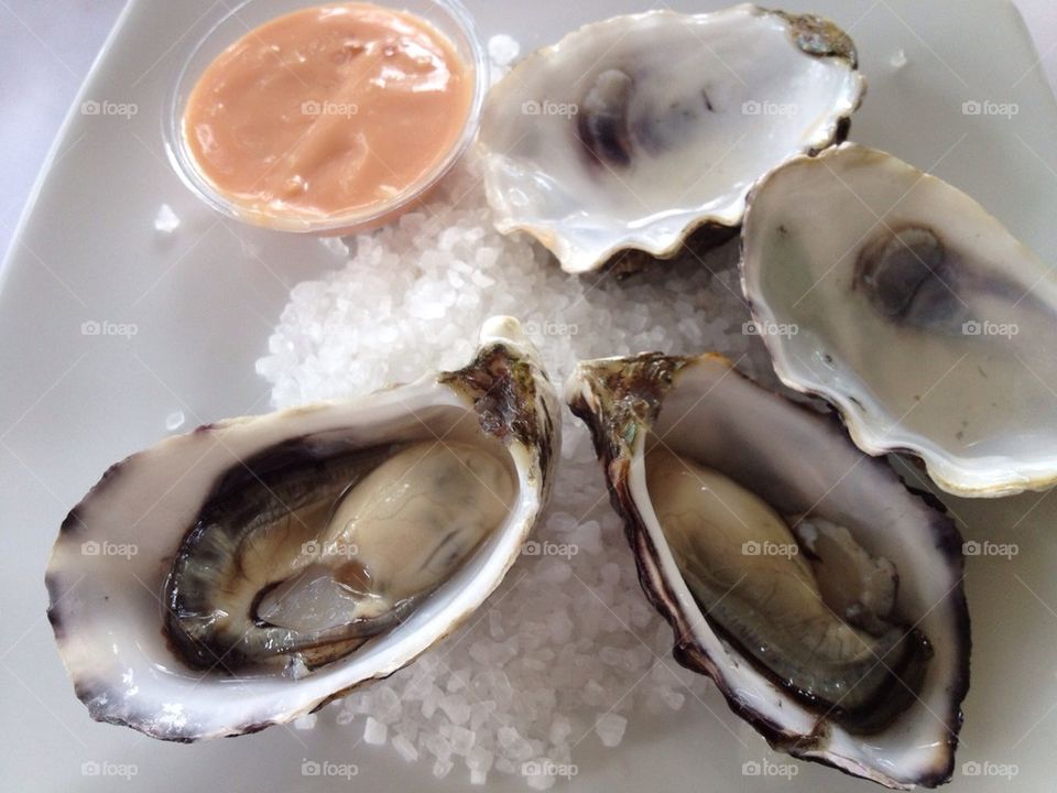 Oysters on seasalt