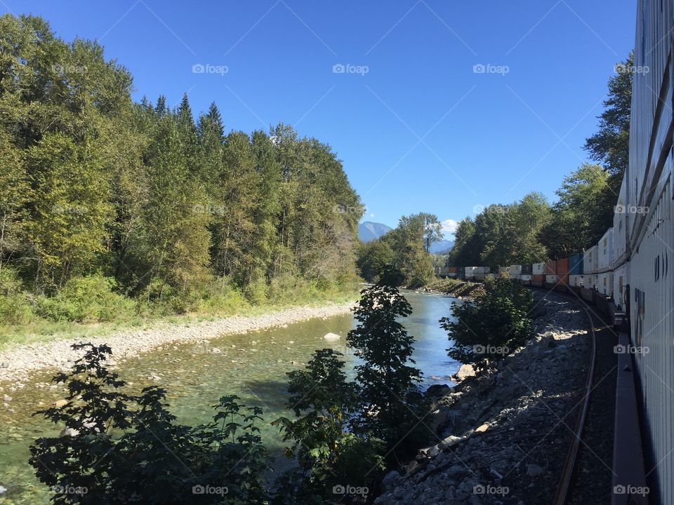 Tree, No Person, Landscape, River, Nature