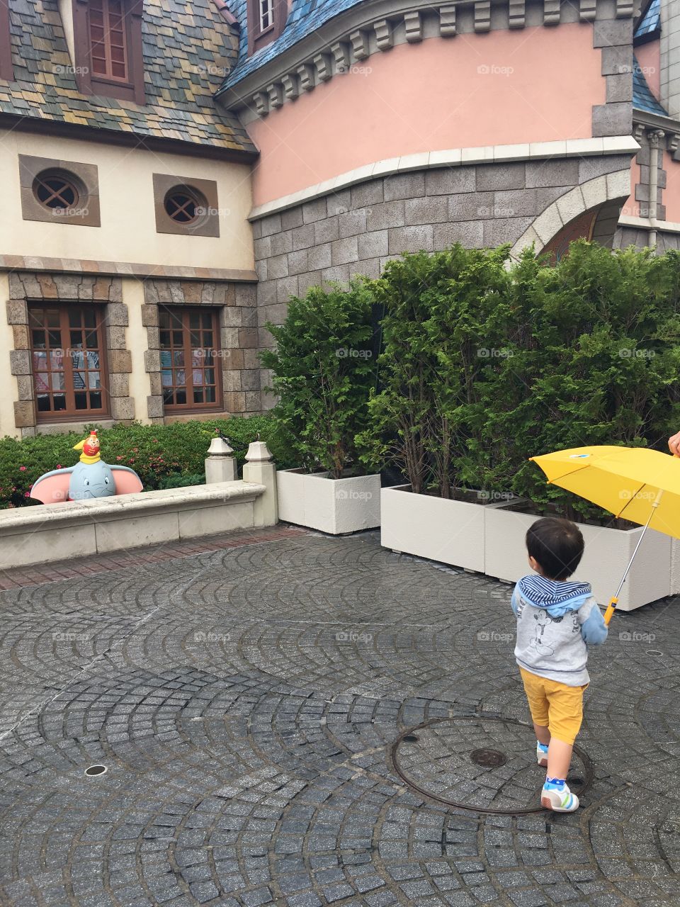 Rain at Tokyo Disney land 