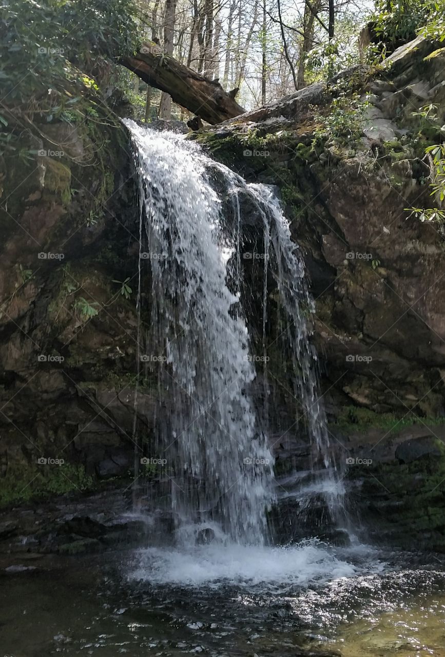 Grotto Falls