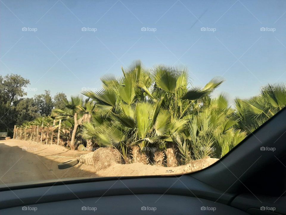 Please make me happy, I am poor, I need your help with support