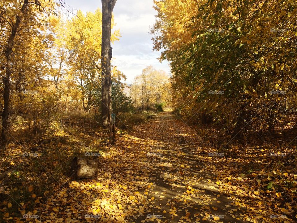 Loving the fall season! 