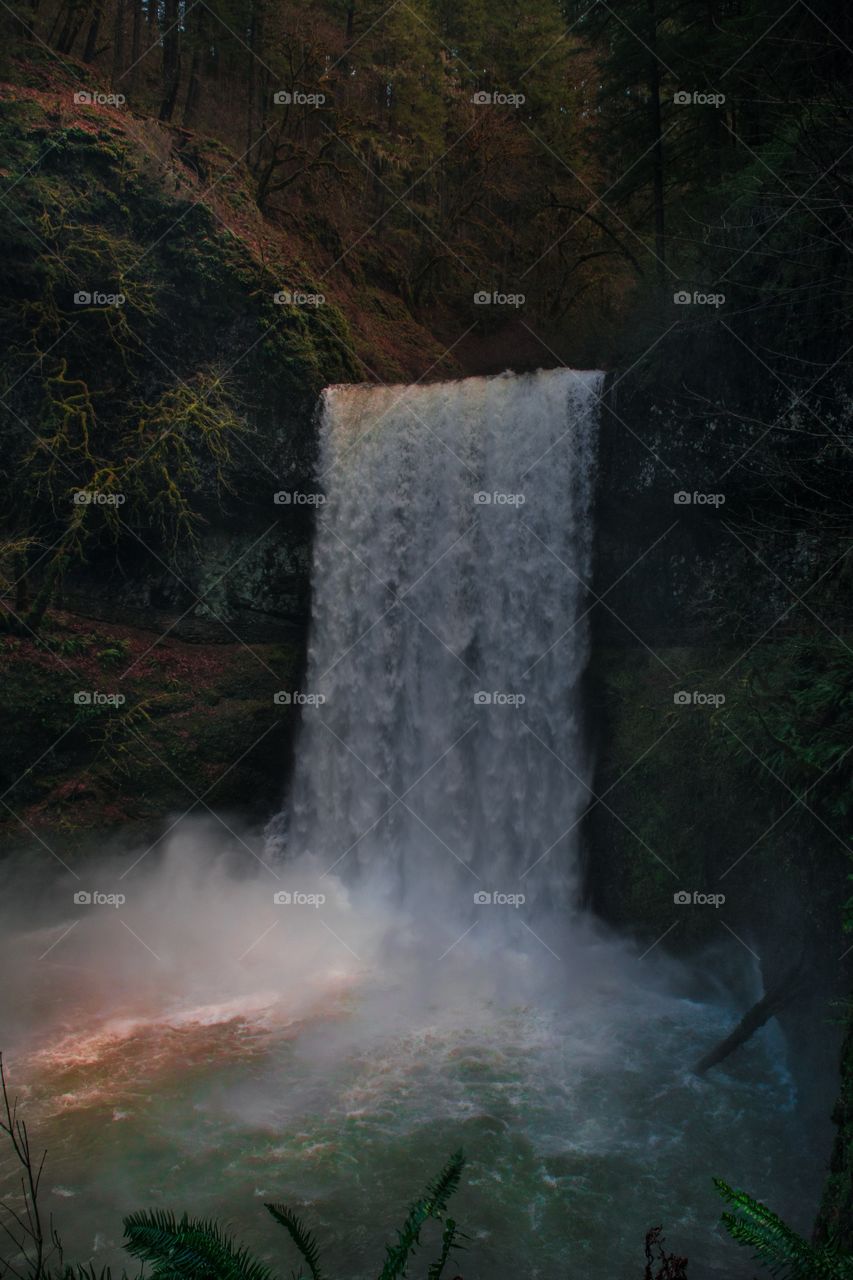 Silver Falls, Oregon looks stunning in the midst of the fall forest.