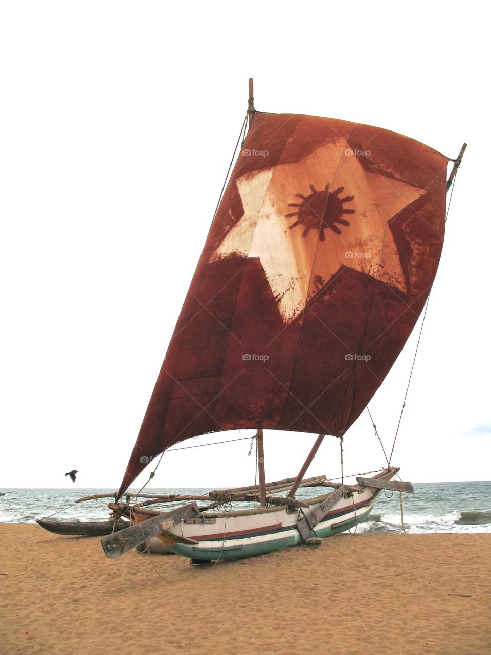 Fishing sail boat on the beach in Negombo,  Sri Lanka. 