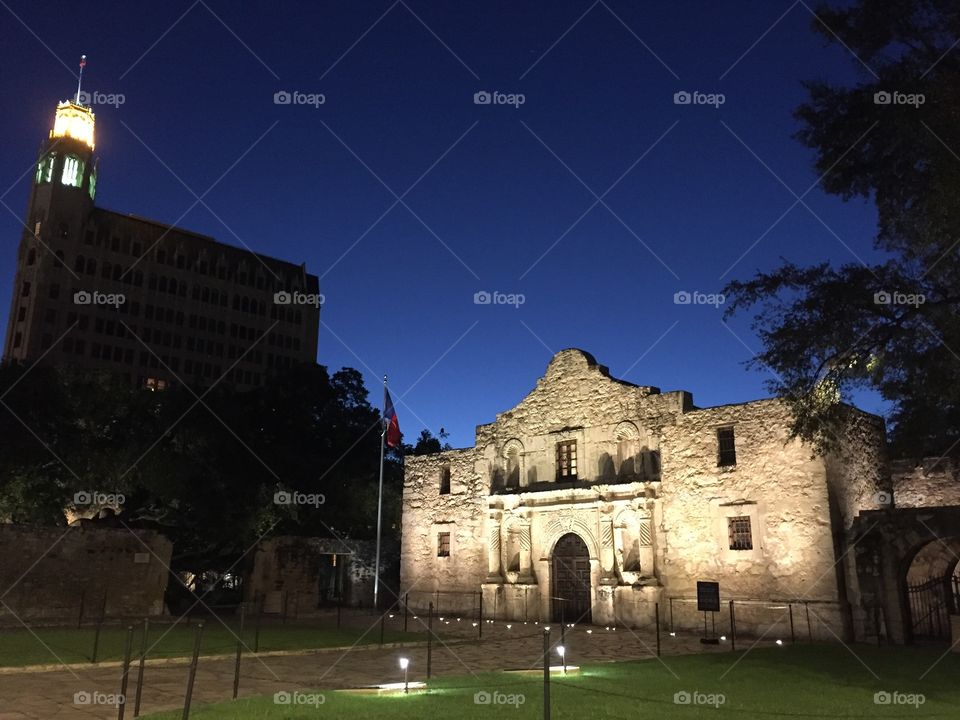 Alamo at Dawn 