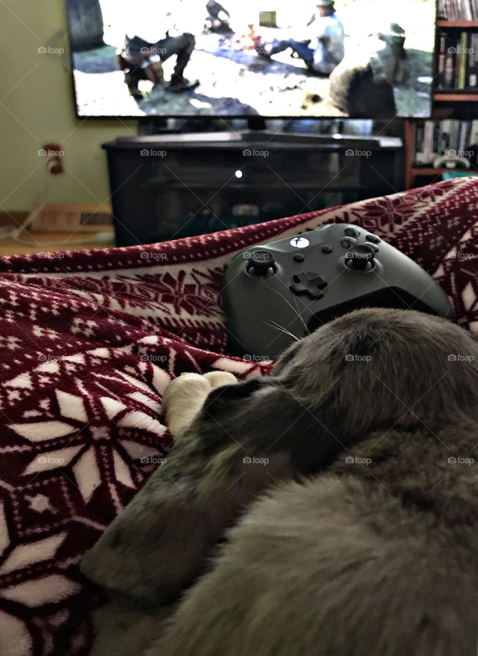 Nothing better than cuddles and games