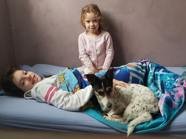 living with pets