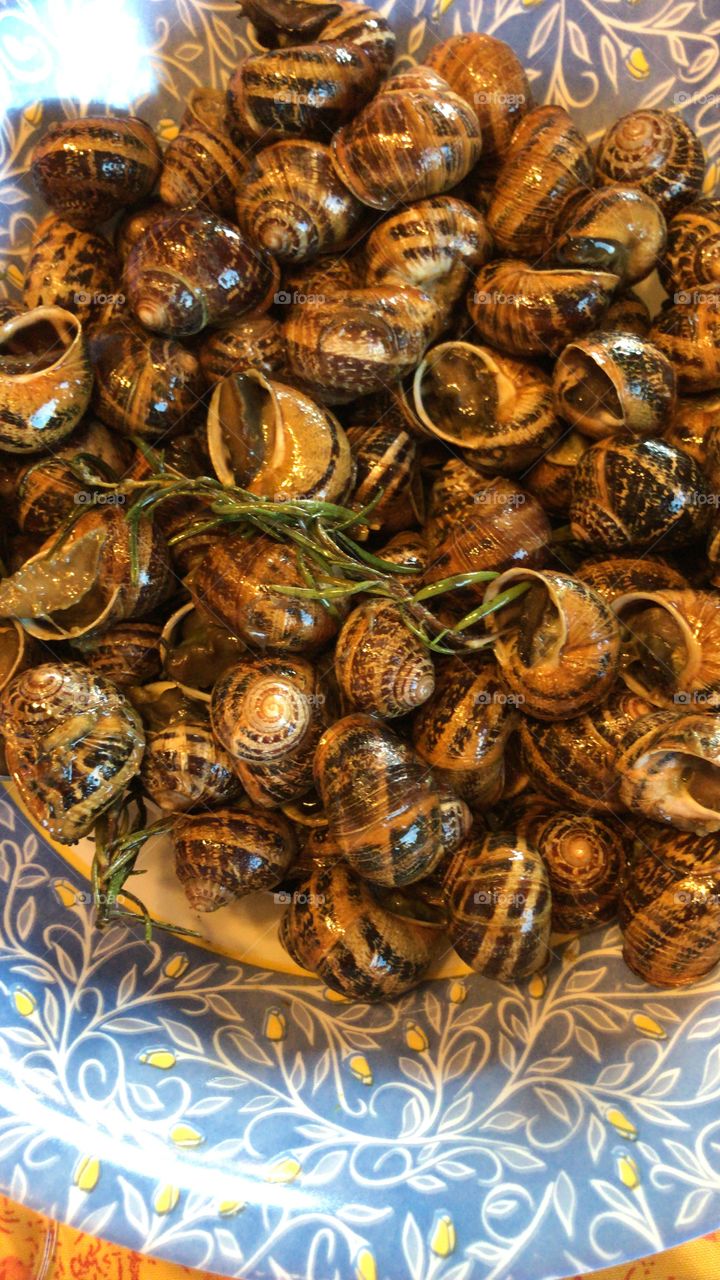 Cretan diet bio food snails